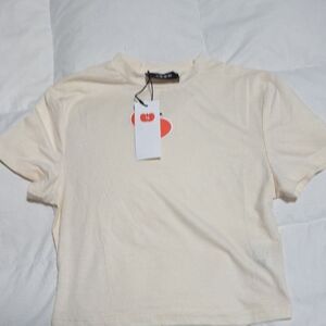 Cider Cream Crop Top Short Sleeve Fitted